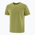 Men's T-shirt Salomon Trackline cardamon seed 5