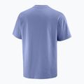 Men's T-shirt Salomon Wild Rays Label marlin 5