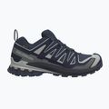 Men's running shoes Salomon XA Pro 3D V9 GTX spellbound/maritime blue