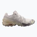 Men's running shoes Salomon Speedcross 6 silver cloud/paloma