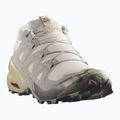 Men's running shoes Salomon Speedcross 6 silver cloud/paloma 2