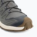 Men's running shoes Salomon XA Pro 3D V9 GTX Lifelong sedona sage/coyote brown 7