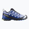 Men's running shoes Salomon XA Pro 3D V9 Icon black/brunnera blue