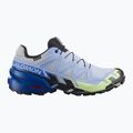 Men's running shoes Salomon Speedcross 6 GTX Icon brunnera blue/surf the web