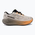Women's running shoes Salomon Aero Blaze 4 GRVL GTX rainy day/black 2