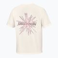 Men's running shirt Salomon Shakeout Core GFX SS Tee whisper white/pink frosting 6