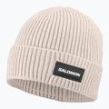 Winter hat Salomon Classic silver cloud