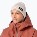 Winter hat Salomon Classic silver cloud 2