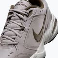Men's training shoes Nike Air Monarch IV moonpairsticle/black/dark hazel 8