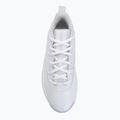 Men's shoes Nike Jordan Max Aura 7 white/vast grey 5