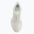 Men's running shoes Nike Pegasus Plus ESS sea glass/chalk/pure platinum/white 5