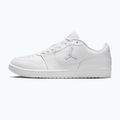 Men's shoes Nike Jordan Access Court Low white/pure platinum 2