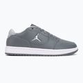 Men's shoes Nike Jordan Access Court Low smoke grey/white/light smoke grey 2