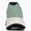 Men's shoes Nike Vapor Lite 3 Clay steam/light silver/white/black 6