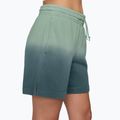 Women's shorts Nike Sportswear Phoenix Fleece Mid-Rise steam/mineral slate 3