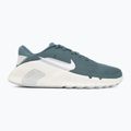 Men's training shoes Nike Flex Train mineral slate/spruce aura/white 2