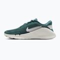 Men's training shoes Nike Flex Train mineral slate/spruce aura/white 2