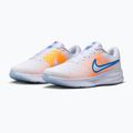Men's running shoes Nike Run Defy white/topaz gold/blue crystal 3