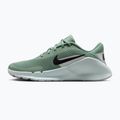 Women's training shoes Nike Flex Train steam/light silver/barely green/black 2