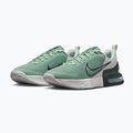 Men's training shoes Nike Air Max Alpha Trainer 6 steam/spruce aura/off white/black spruce 3