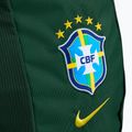 Backpack Nike Academy Brazil 30 l pro green 4