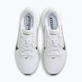 Men's running shoes Nike Pegasus 42 white/photon dust/black 5