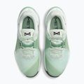 Women's training shoes Nike Metcon 10 barely green/steam/light silver/black 5
