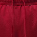 Men's shorts Nike Jordan Sport Essentials Dri-Fit gym red 5