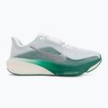 Women's running shoes Nike Pegasus 42 white/malachite/metallic silver 2