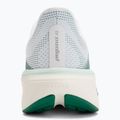 Women's running shoes Nike Pegasus 42 white/malachite/metallic silver 6