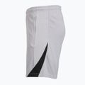 Men's football shorts Nike Paris Saint-Germain Strike SE atmosphere grey/black/black 8