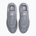Men's shoes Nike Air Max Fire wolf grey/wolf grey/white 14