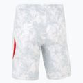 Men's football shorts Nike Dri-Fit Poland Stadium Home white/field silver 2