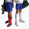 Children's football shorts Nike Paris Saint-Germain Dri-Fit Stadium old royal/white