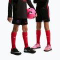 Children's football shorts Nike Paris Saint-Germain Strike black/hyper royal/global red/global red
