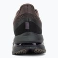 Men's running shoes Nike Pegasus Premium ironstone/dark smoke grey/quartz patina 6