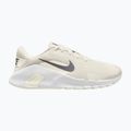 Men's training shoes Nike Flex Train phantom/white/sail/pencil point