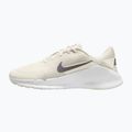 Men's training shoes Nike Flex Train phantom/white/sail/pencil point 2