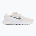 Men's training shoes Nike Flex Train phantom/white/sail/pencil point 2
