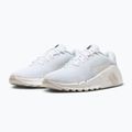 Women's training shoes Nike Flex Train white/sail/phantom/ metallic silver 3