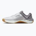 Men's training shoes Nike Metcon 10 photon dust/pencil point/photon dust 2