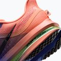 Men's running shoes Nike Pegasus Premium racer blue/atomic pink/volt tint/black 8