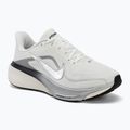 Women's running shoes Nike Pegasus 42 summit white/sail/black/metallic silver
