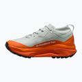 Men's running shoes Nike ACG Zegama Trail GORE-TEX light silver/safety orange/summit white 2