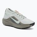 Men's running shoes Nike ACG Pegasus Trail GORE-TEX Light Silver/Light Army/Light Silver