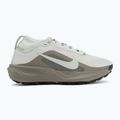 Women's running shoes Nike ACG Pegasus Trail GORE-TEX Light Silver/Light Army/Light Silver 2
