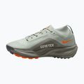 Women's running shoes Nike ACG Pegasus Trail GORE-TEX Light Silver/Light Army/Light Silver 2