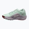 Women's running shoes Nike ACG Pegasus Trail GORE-TEX Barely Green/Silver Lilac/Light Bone 2