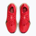Men's running shoes Nike ACG Zegama Trail light crimson/light orewood brown/black/black 4