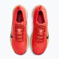 Men's running shoes Nike ACG Pegasus Trail GORE-TEX Light Crimson/Linen/Black 5
